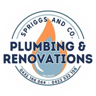 Spriggs & Co. Plumbing & Renovations, home